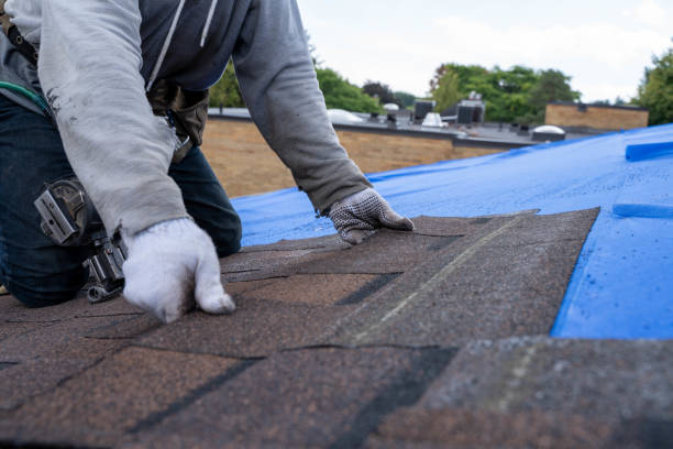 Trusted Cricket, NC Roofing Contractor Experts